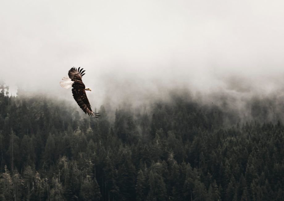 Transforming businesses